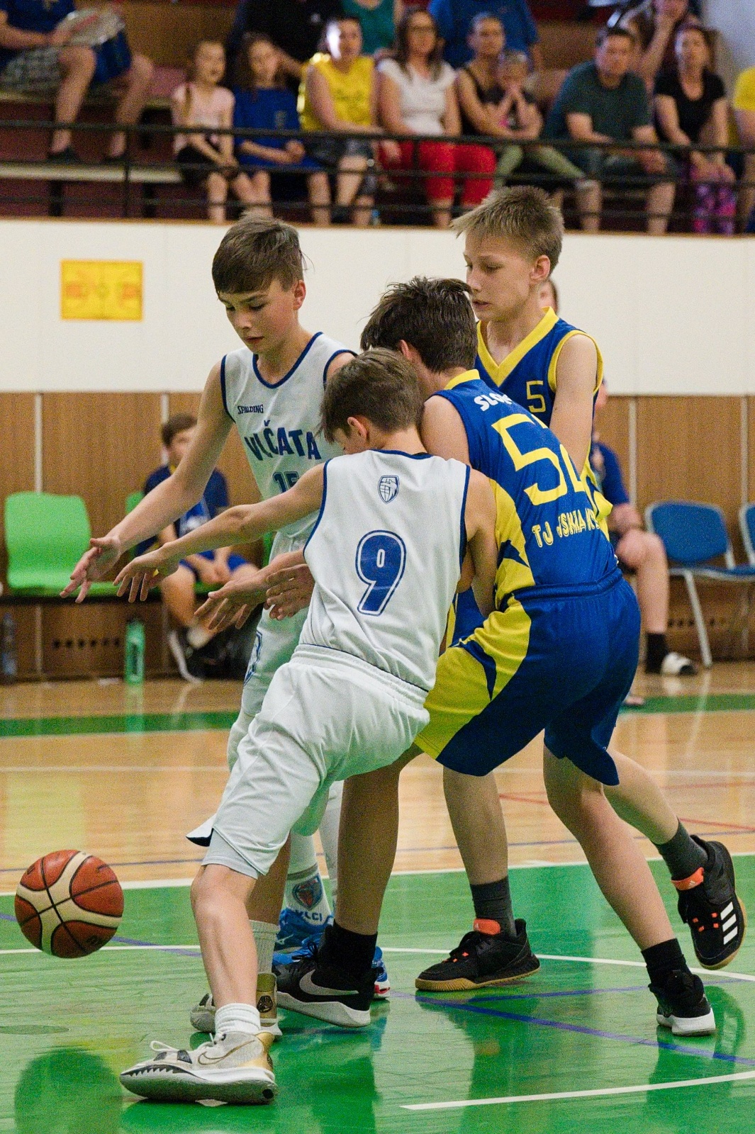  DSC8571 (1)